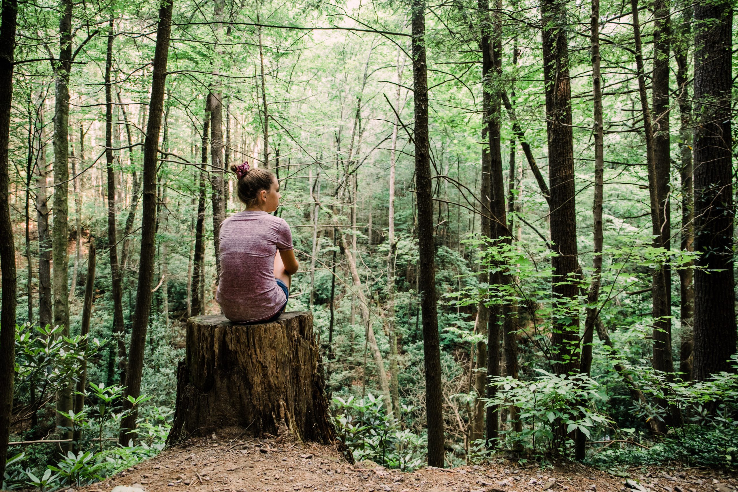 Teen Teen Girl Sitting on a Stump Looking Out into a green Forest full of trees