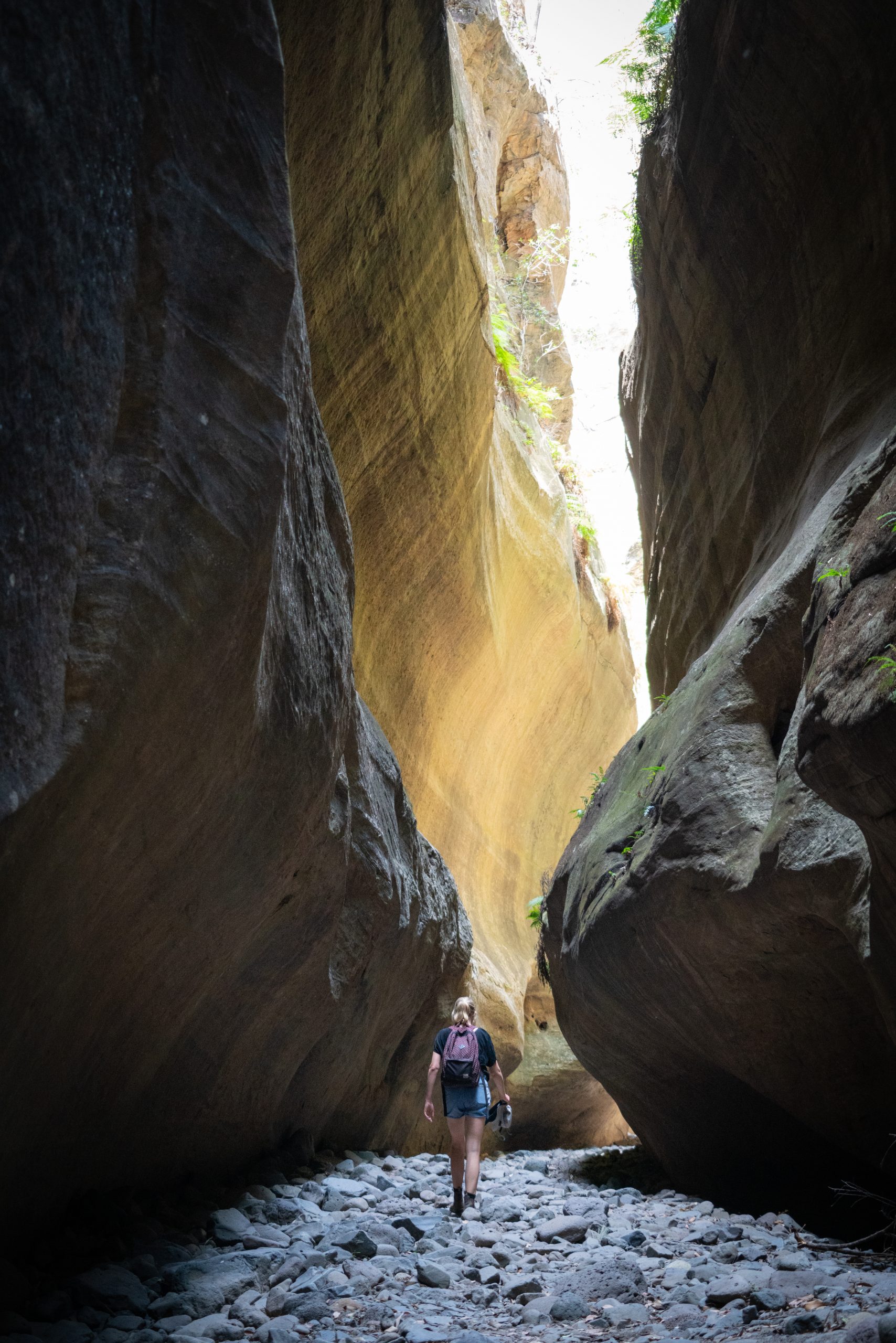 Carnarvon Gorge Queensland