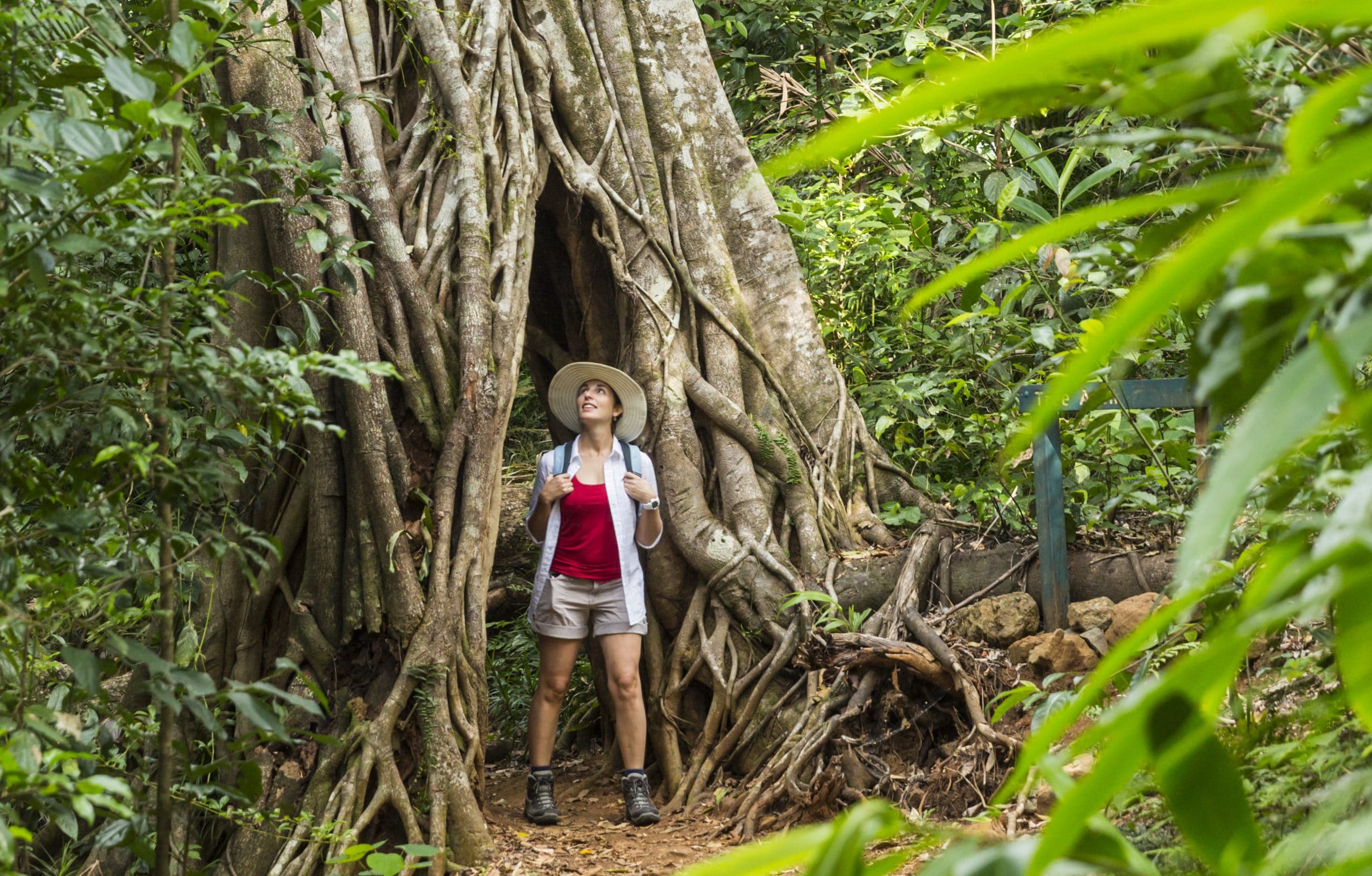 Eungella National Park, Queensland