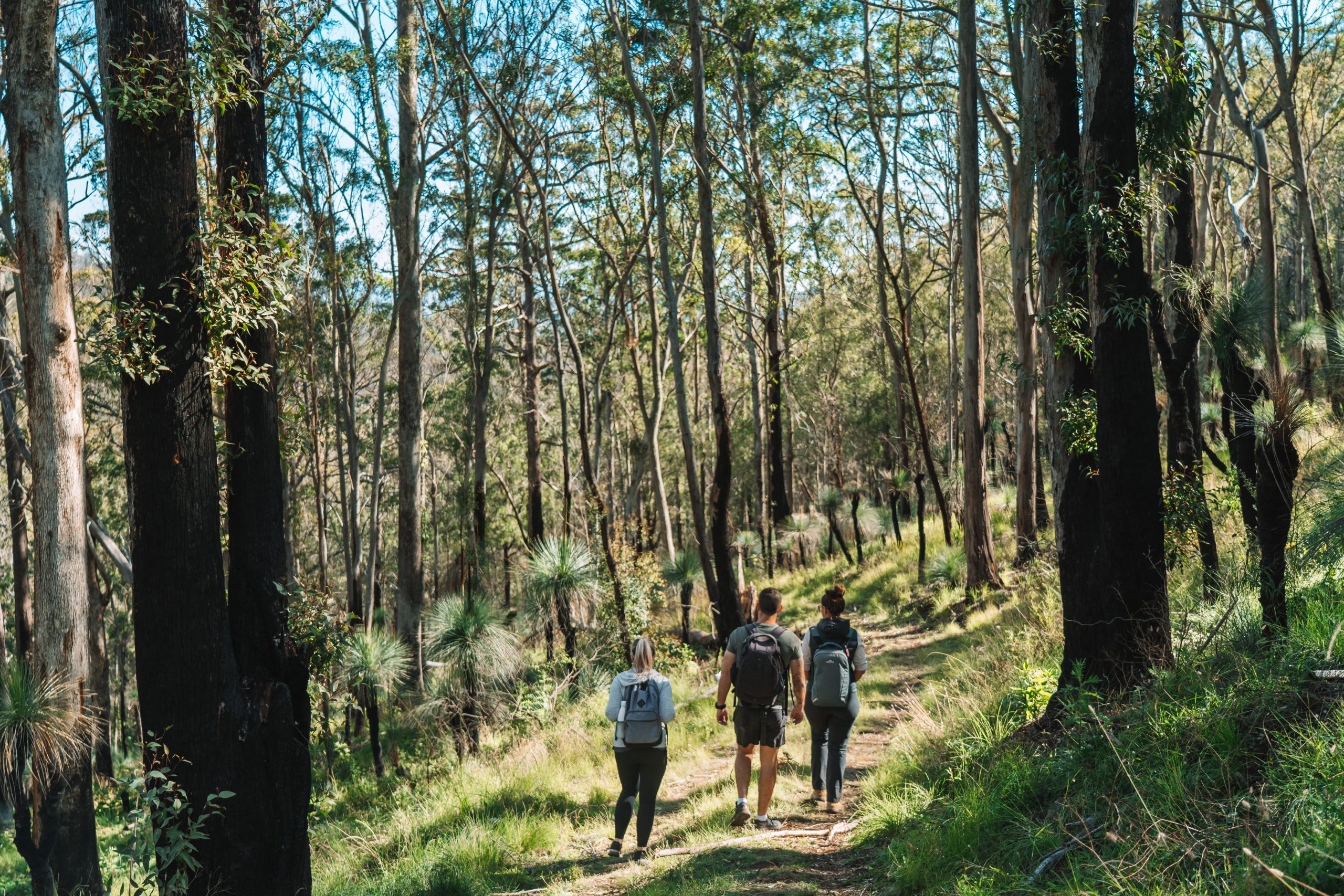 Spicers Scenic Rim Trail