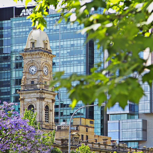 Adelaidecrop