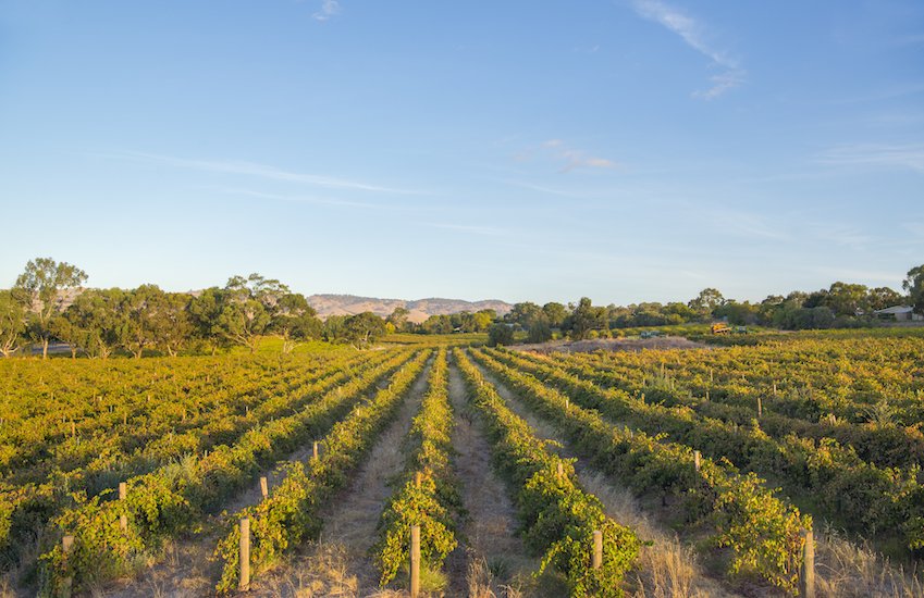 The Barossa Valley in South Australia