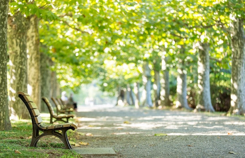 Benches in a park.