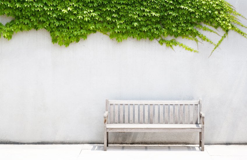 Wooden bench outside. A place to pause.
